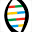 amp.org