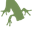 amphibian.info
