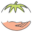 ampleharvest.org