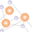 anamollabs.com