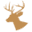 ancgg.org