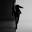 andrewbird.net
