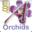 andysorchids.com