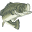 anglerinfo.com