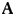 ankayyalitim.com