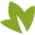 annarborvineyard.org