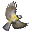 annuaire.oiseaux.net