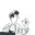 anotioneer.com