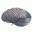 anrs-neurologie.ro