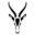 antelope.de