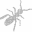 ants.pt