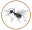 antskingdom.com