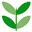 aobafp.jp