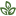 aos.org