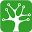 apisnetworks.com