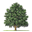 appalachianwoods.com