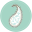 aquapaisleystudio.com