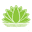 aquiflor.com
