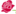 arabianpetals.ae