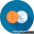 arabtopforex.com