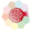 arak29.org