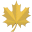 arazgholami.com