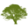 arboragetreeservice.com