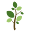 arborsenior.com