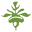 arcadiagardenproducts.com