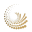 arkep-rks.org