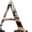 armodec.com