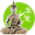 art-of-asia.net