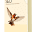 artofseo.com