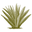 arubaaloe.nl