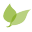asanoen.com