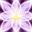 ascensionhelp.com