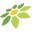 ashopi.com