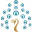 asm.org.au