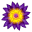 aspforums.net