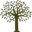 atkinstreefarm.com