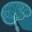 atlanticneurosurgery.com