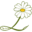 aubergelamarguerite.com