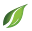 auraclean.com
