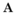 autoworldfx.ca