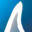 avdc.org