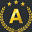 aviatorcameragear.com