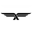 aviatorhampshire.com