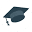 avidus.net