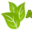 avinaturals.com