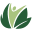 avitahealth.org